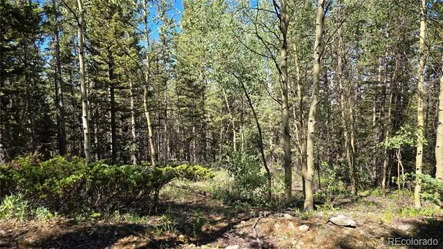 Lot 6174 Forbes Road San Luis, CO 81152