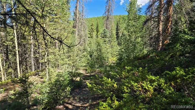 Lot 6174 Forbes Road San Luis, CO 81152