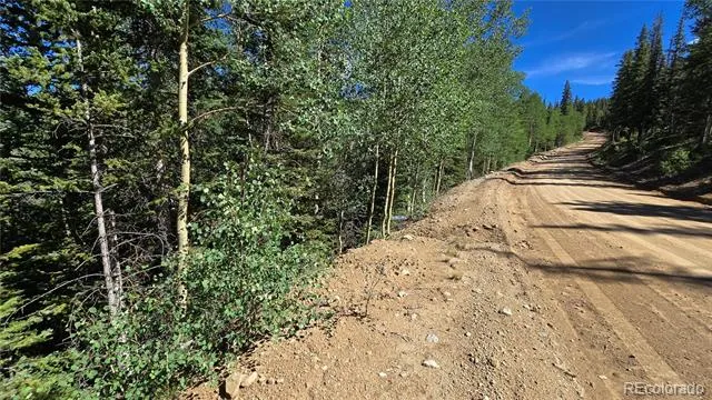 Lot 6174 Forbes Road San Luis, CO 81152