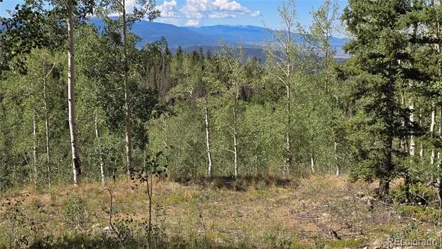 Lot 6174 Forbes Road San Luis, CO 81152