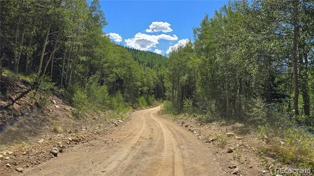 Lot 6174 Forbes Road San Luis, CO 81152