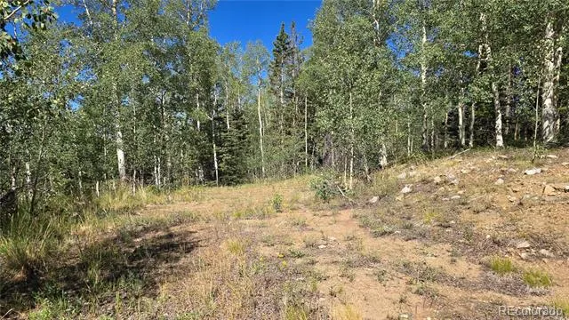 Lot 6174 Forbes Road San Luis, CO 81152
