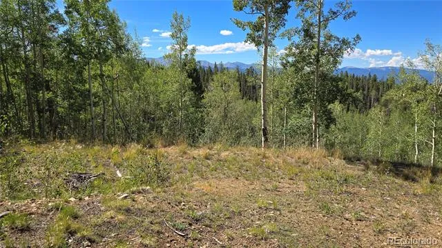Lot 6174 Forbes Road San Luis, CO 81152