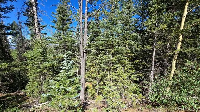 Lot 6174 Forbes Road San Luis, CO 81152