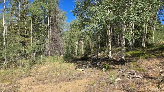 Lot 6174 Forbes Road San Luis, CO 81152