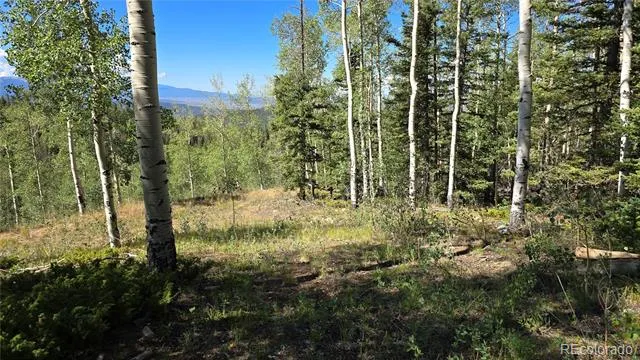 Lot 6174 Forbes Road San Luis, CO 81152