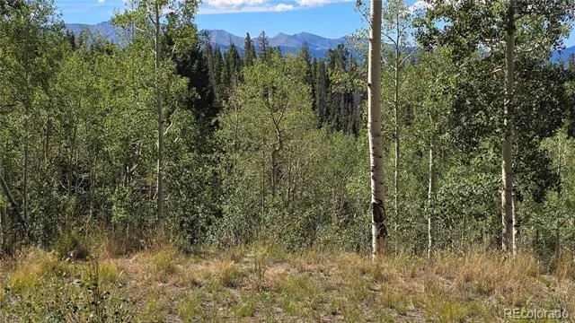Lot 6174 Forbes Road San Luis, CO 81152