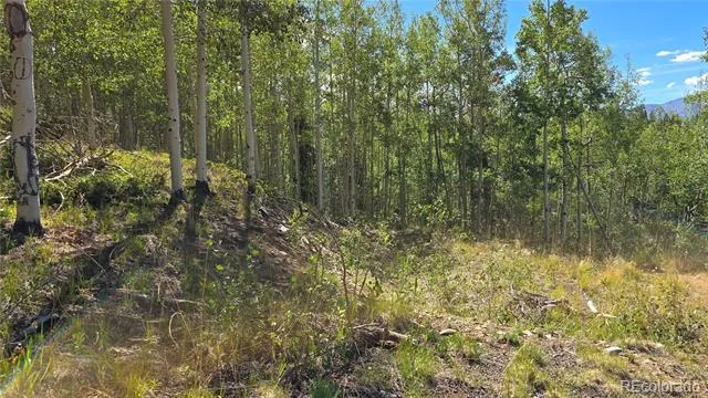 Lot 6174 Forbes Road San Luis, CO 81152