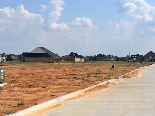 1325 Natashas Way Lumberton, TX 77657