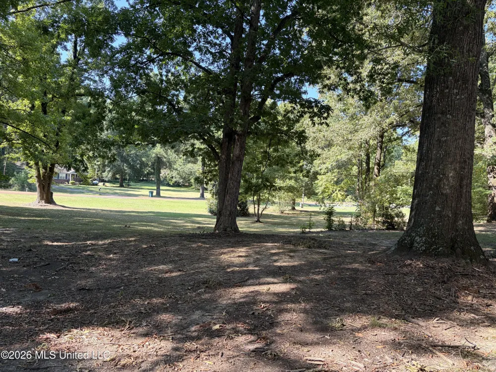 3630 Debbie Drive Olive Branch, MS 38654