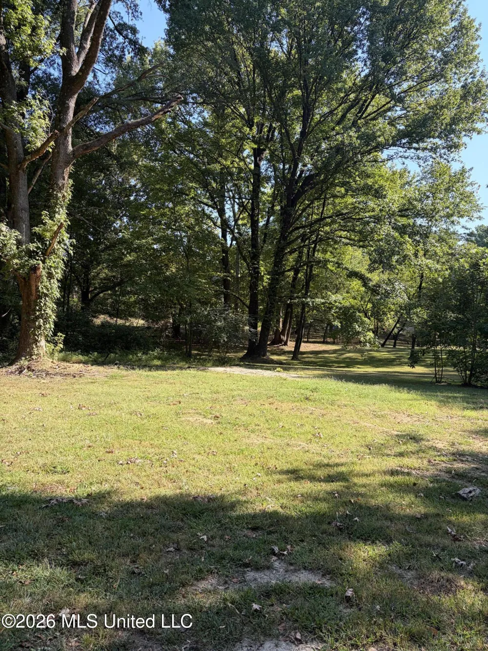 3630 Debbie Drive Olive Branch, MS 38654