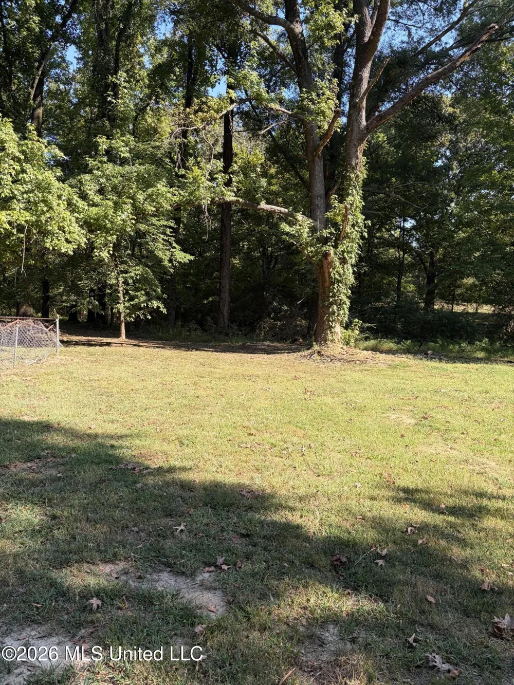 3630 Debbie Drive Olive Branch, MS 38654