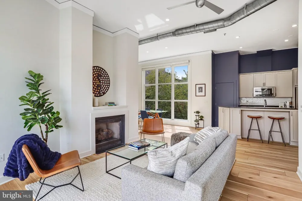 2380 CHAMPLAIN STREET NW #306 Washington, DC 20009