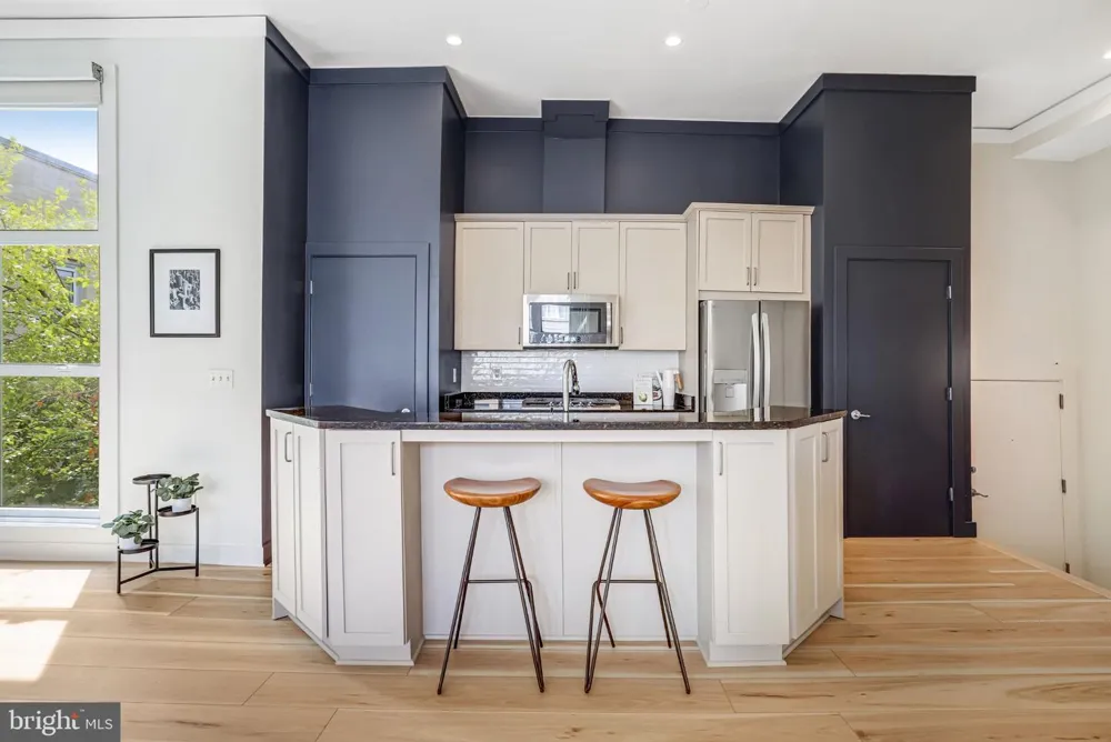 2380 CHAMPLAIN STREET NW #306 Washington, DC 20009