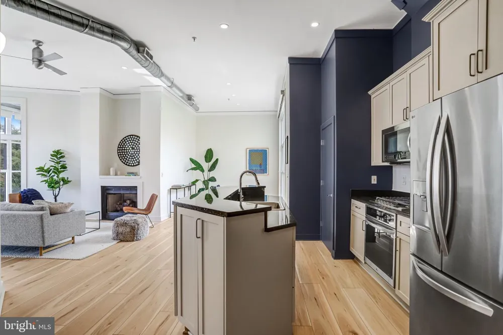 2380 CHAMPLAIN STREET NW #306 Washington, DC 20009