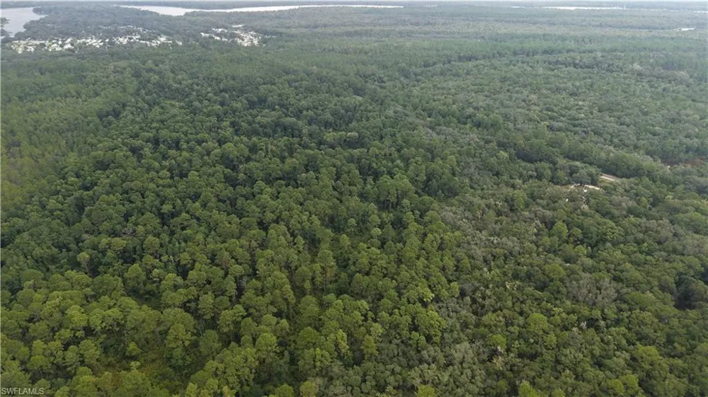  Satsuma, FL 32189