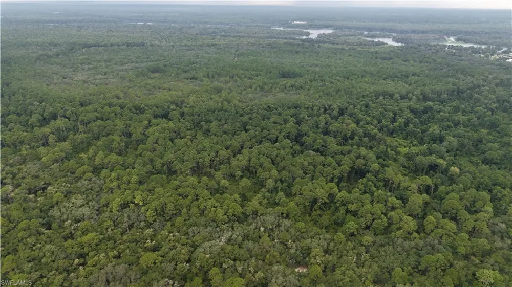  Satsuma, FL 32189