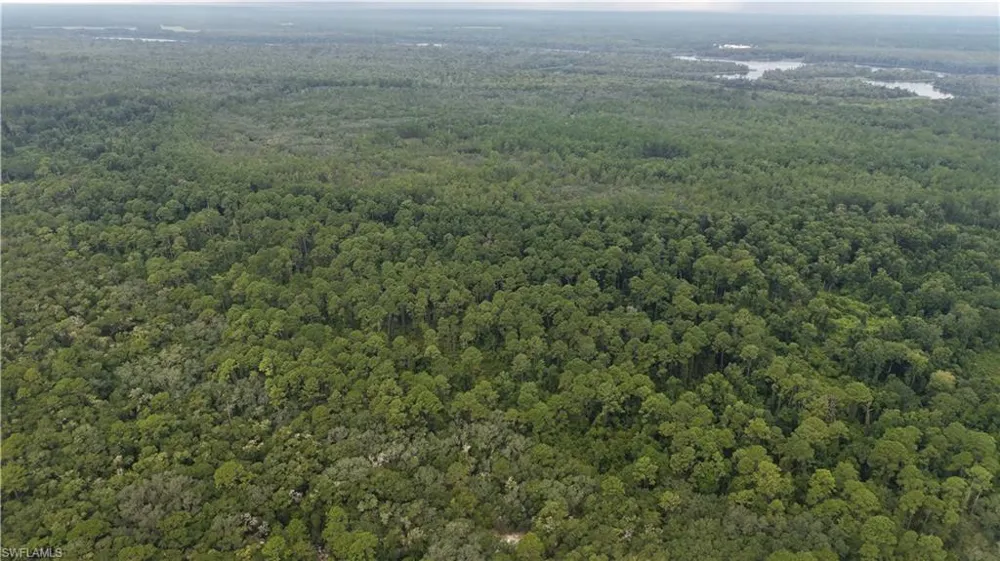 Satsuma, FL 32189