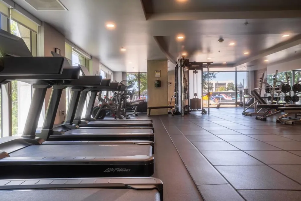 38 Almaden Boulevard #302 San Jose, CA 95110