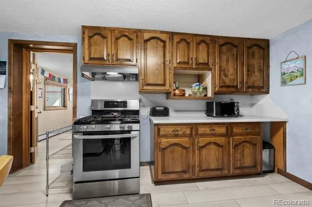 216 Crossman Avenue Buena Vista, CO 81211