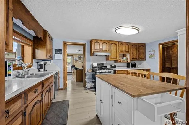 216 Crossman Avenue Buena Vista, CO 81211