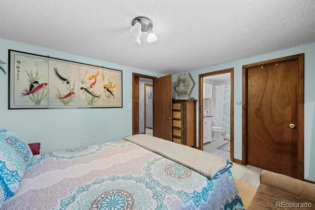 216 Crossman Avenue Buena Vista, CO 81211