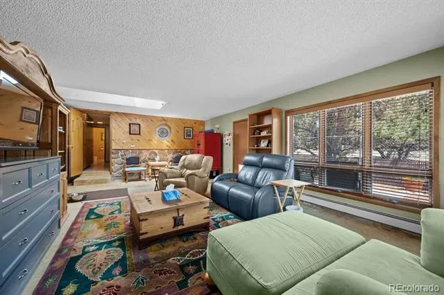 216 Crossman Avenue Buena Vista, CO 81211