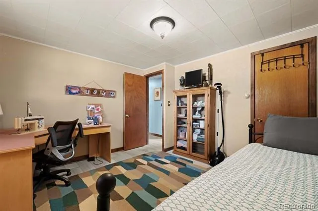 216 Crossman Avenue Buena Vista, CO 81211