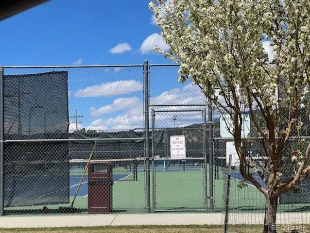 216 Crossman Avenue Buena Vista, CO 81211
