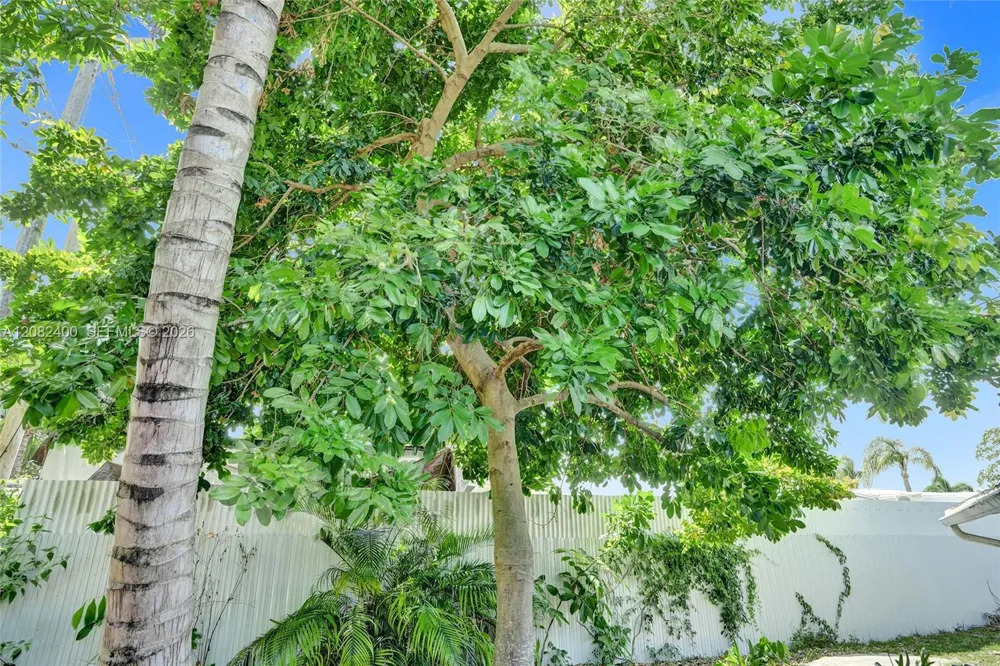 1124 NW 16th St Fort Lauderdale, FL 33311
