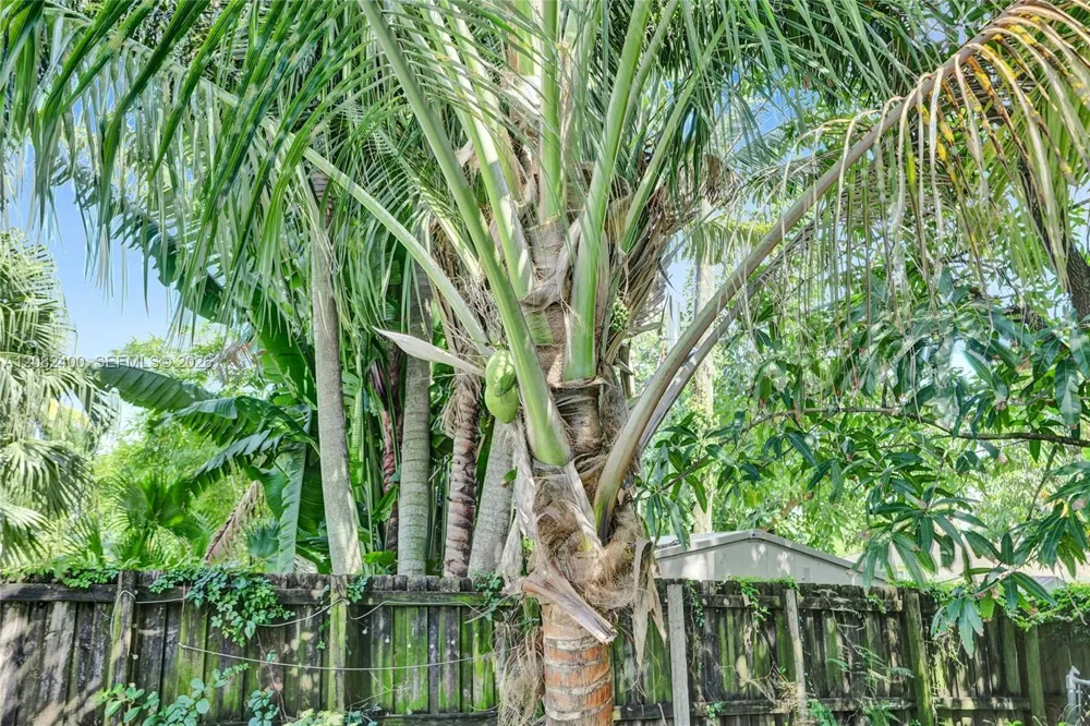 1124 NW 16th St Fort Lauderdale, FL 33311