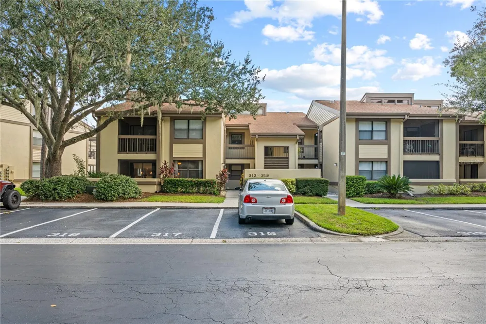 317 WOODLAKE WYNDE Oldsmar, FL 34677