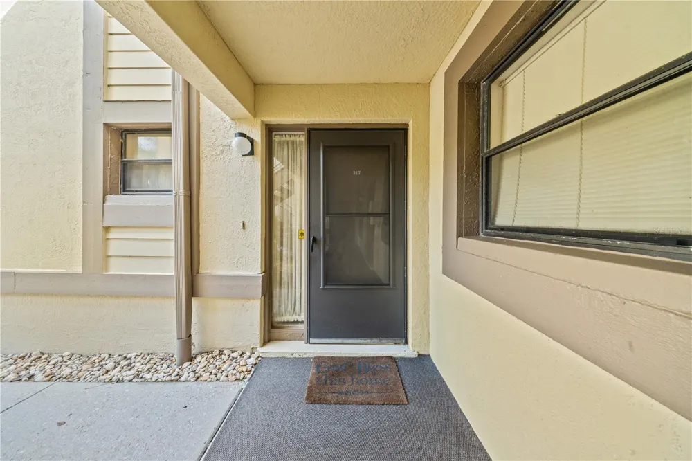 317 WOODLAKE WYNDE Oldsmar, FL 34677