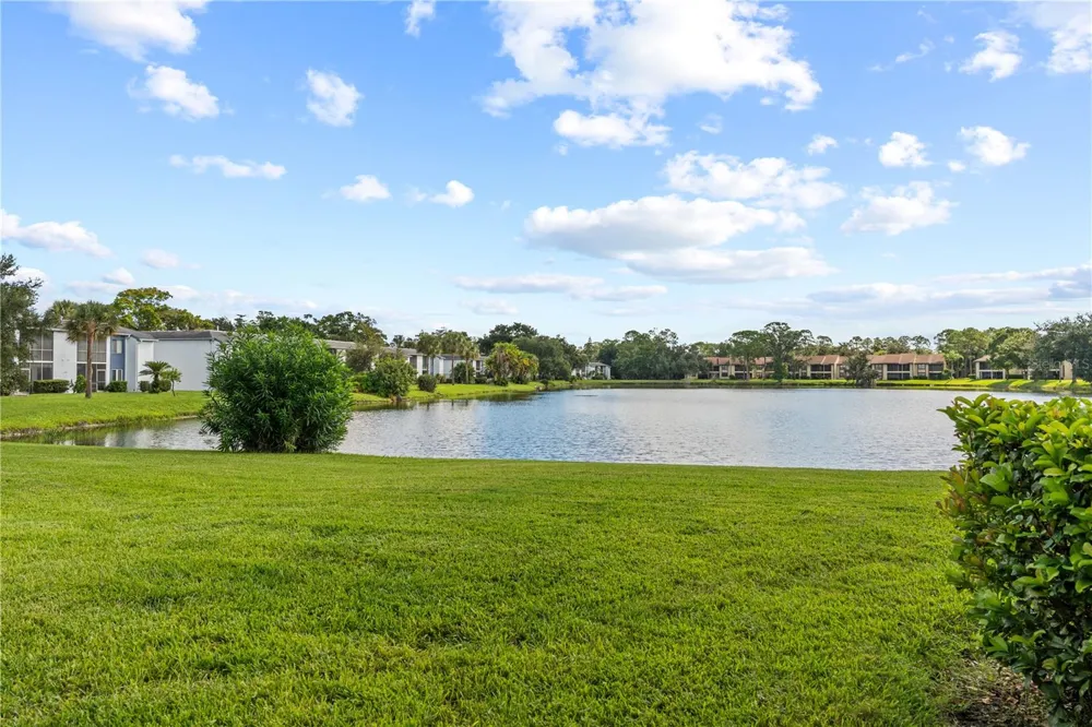 317 WOODLAKE WYNDE Oldsmar, FL 34677