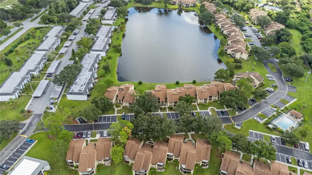 317 WOODLAKE WYNDE Oldsmar, FL 34677