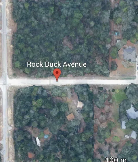 ROCK DUCK AVENUE
