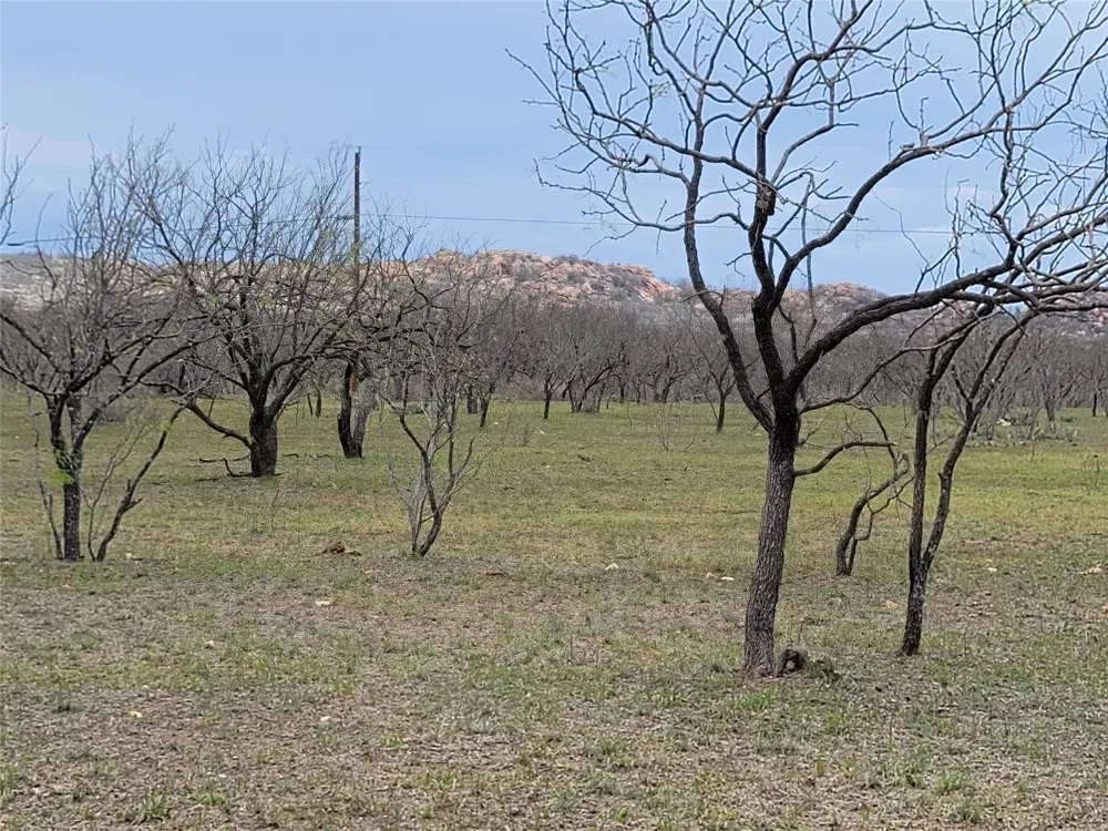 293 Threadgill Lane Valley Spring, TX 76885