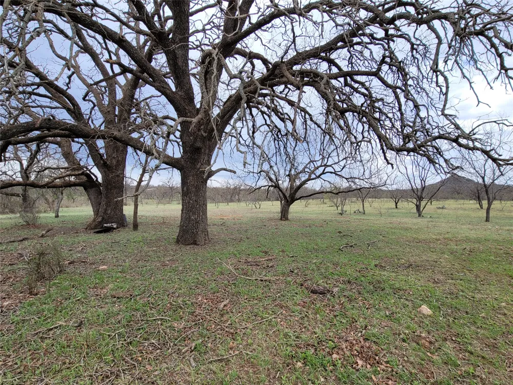 293 Threadgill Lane Valley Spring, TX 76885