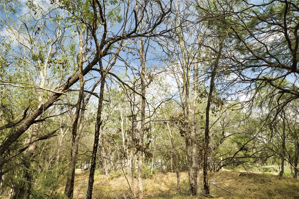 2900 Salt Flat Road Luling, TX 78648