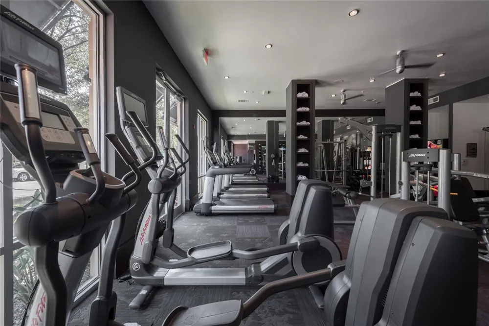 2700 Brazos Street #1411 Houston, TX 77006