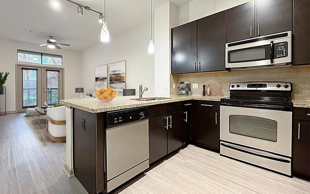 2700 Brazos Street #1411 Houston, TX 77006