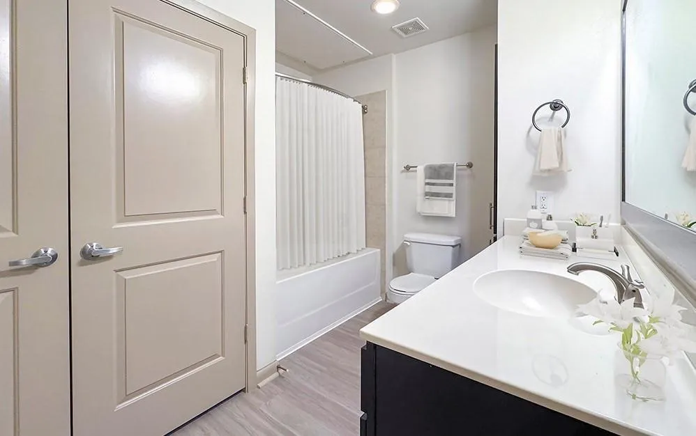 2700 Brazos Street #1411 Houston, TX 77006