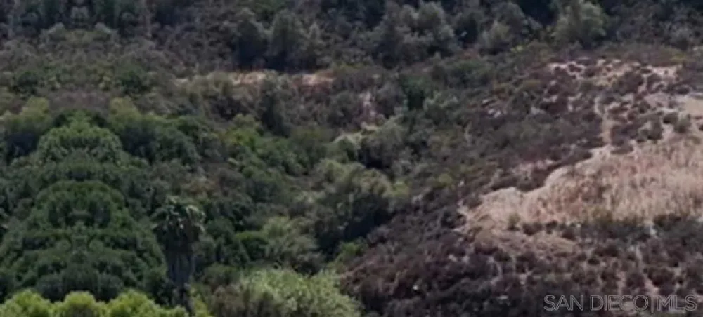 Proctor Valley Chula Vista, CA 91914