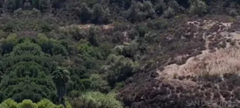 Proctor Valley