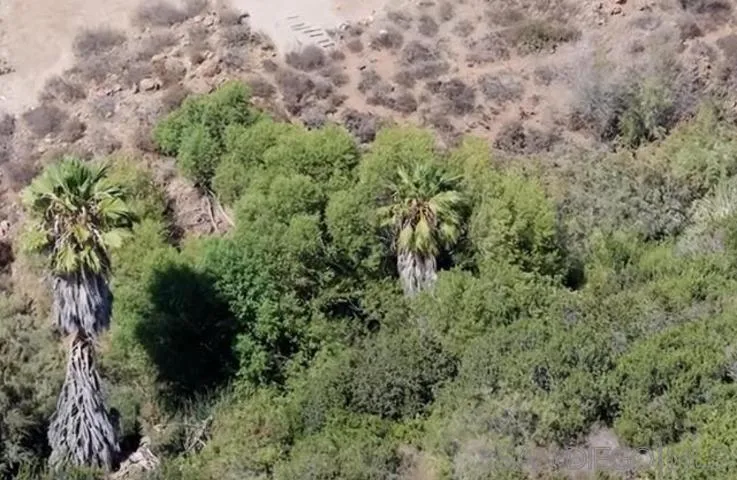 Proctor Valley Chula Vista, CA 91914