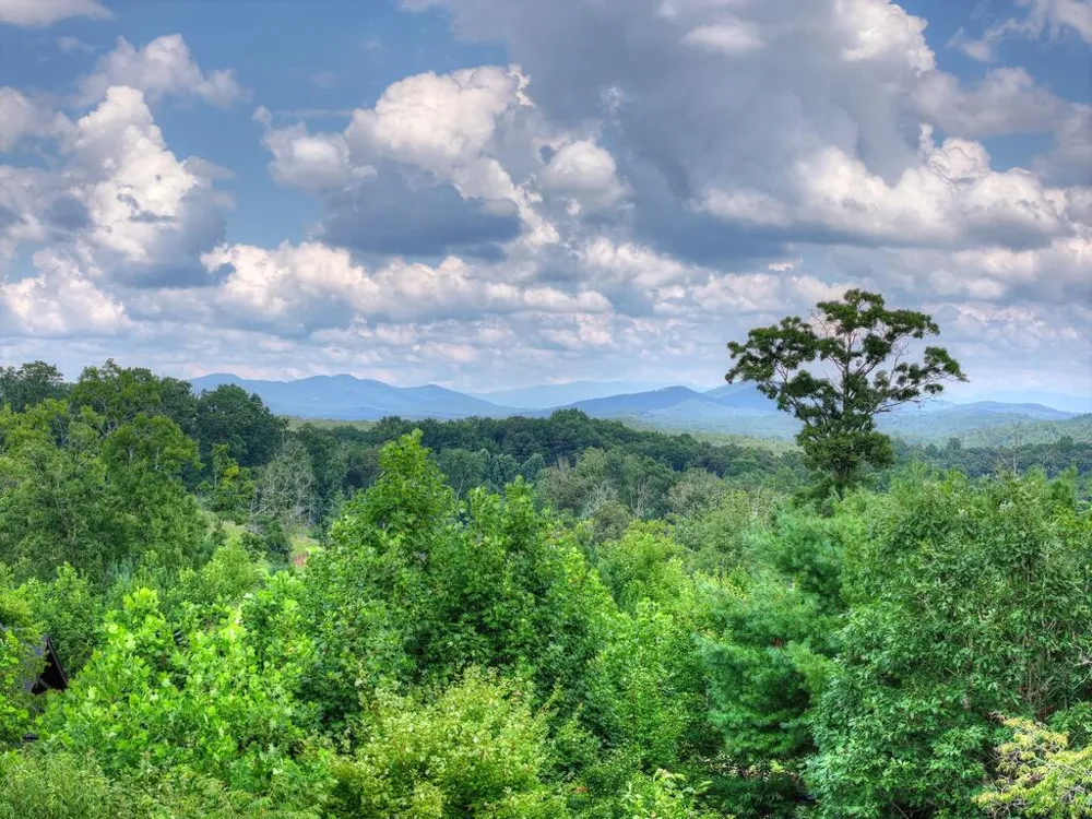 78 Longview Lane Blue Ridge, GA 30513