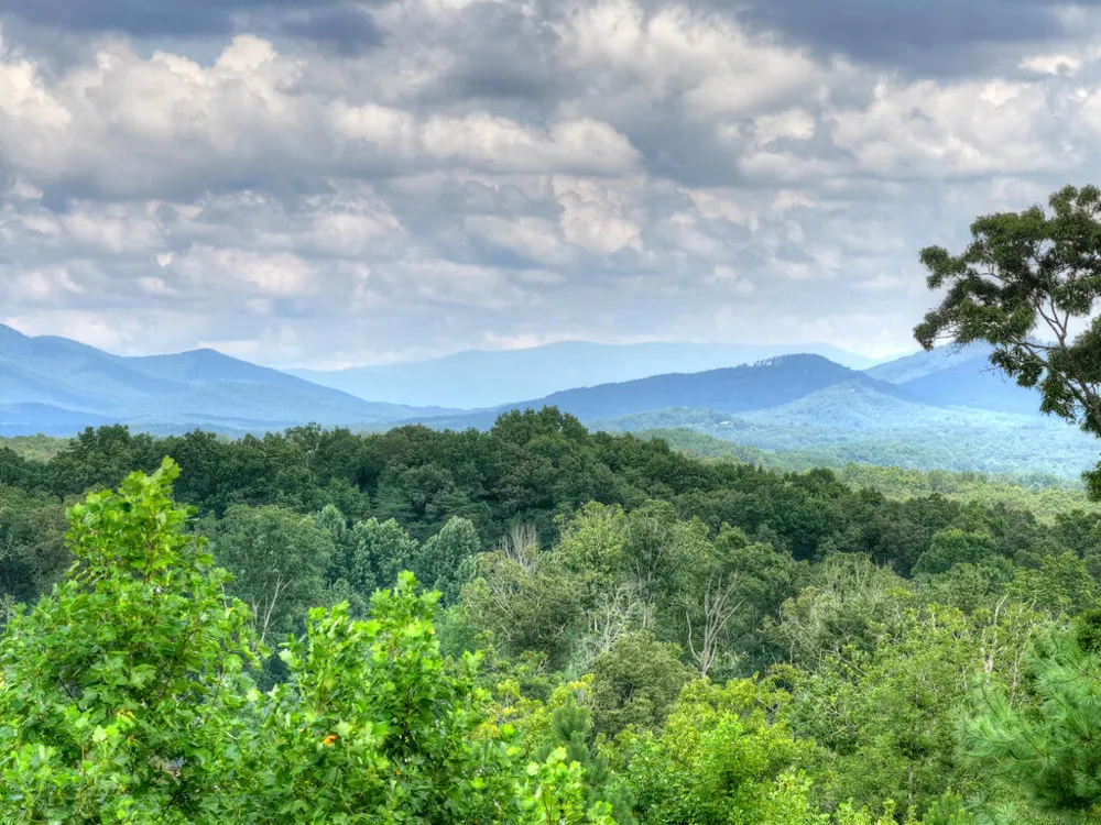 78 Longview Lane Blue Ridge, GA 30513