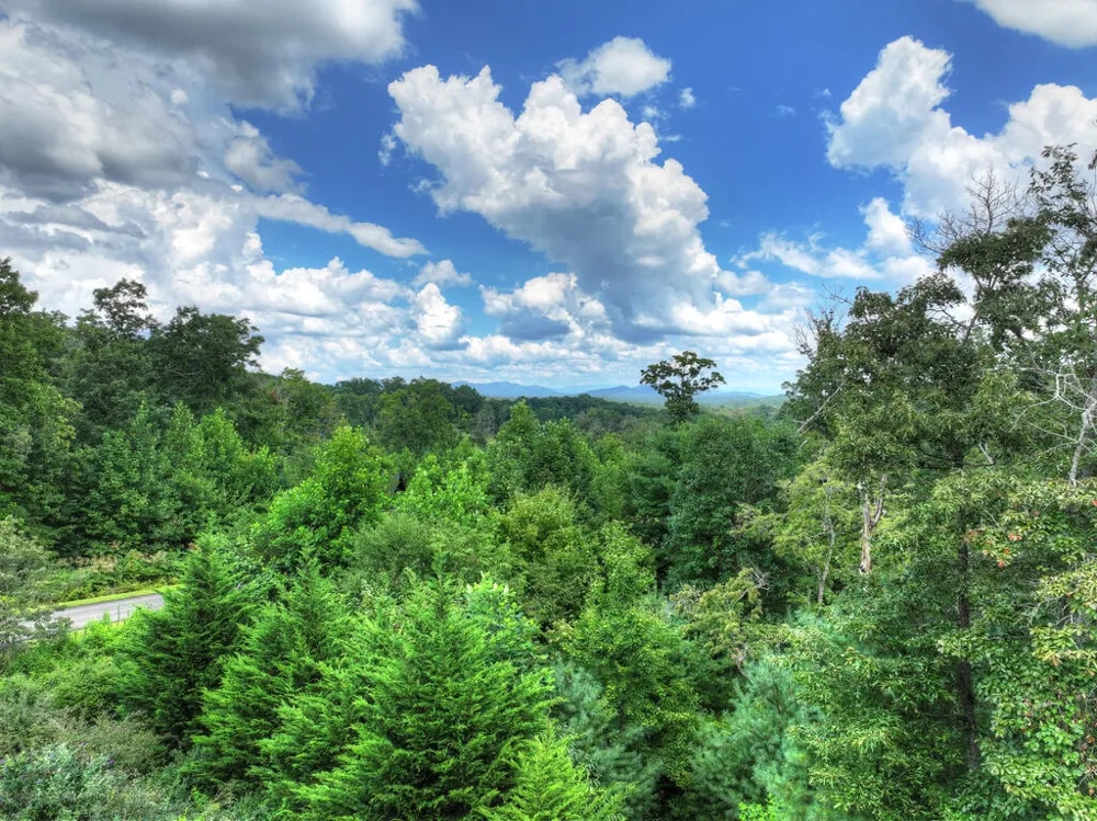 78 Longview Lane Blue Ridge, GA 30513