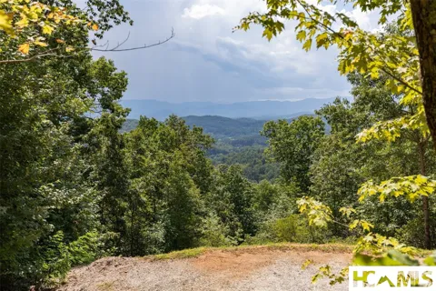 TBD Onion Mountain Road