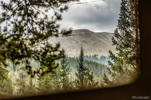 17 Blue Grouse Trail Blue River, CO 80424